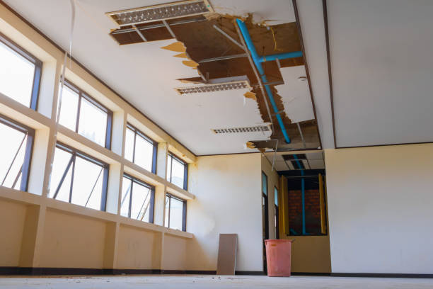 Best Basement water damage restoration  in Russell, KY