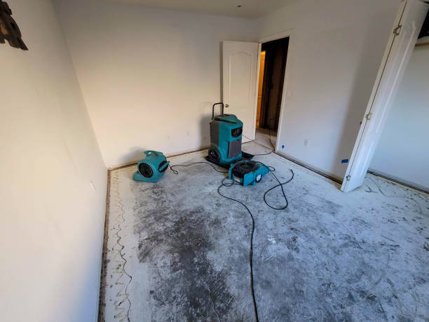 Water damage restoration experts in Russell, KY