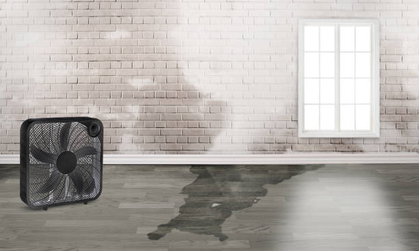 Best Emergency water damage restoration  in Russell, KY