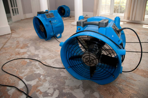  Russell, KY Water damage restoration Pros