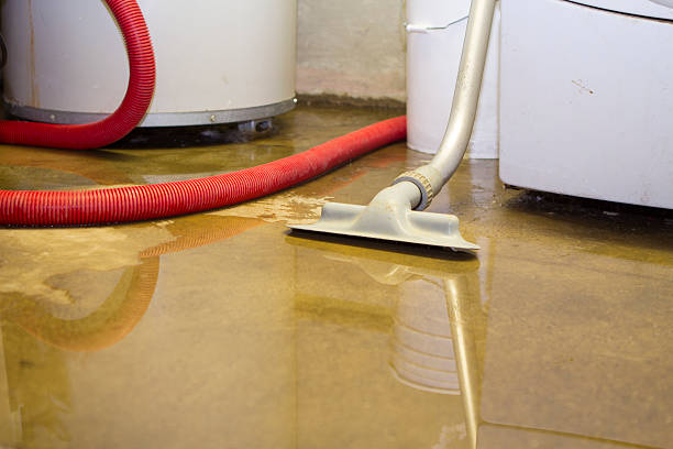 Best Flooded house restoration  in Russell, KY