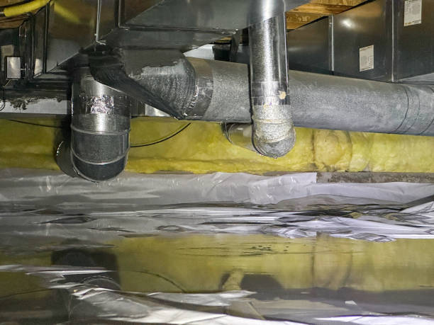Best Water damage cleanup near me  in Russell, KY