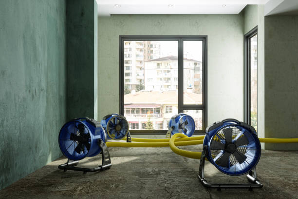 Best Ceiling water damage repair  in Russell, KY