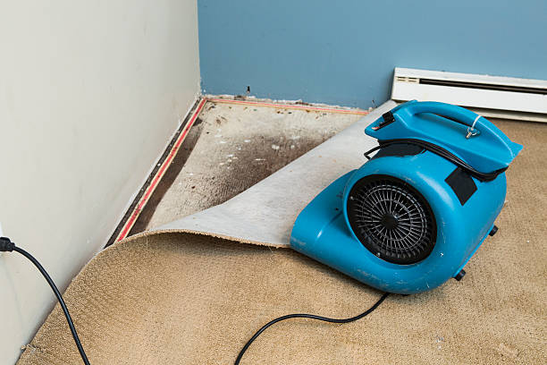 Best Local water damage restoration  in Russell, KY